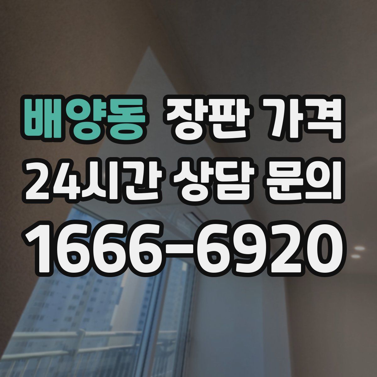 배양동 장판 가격