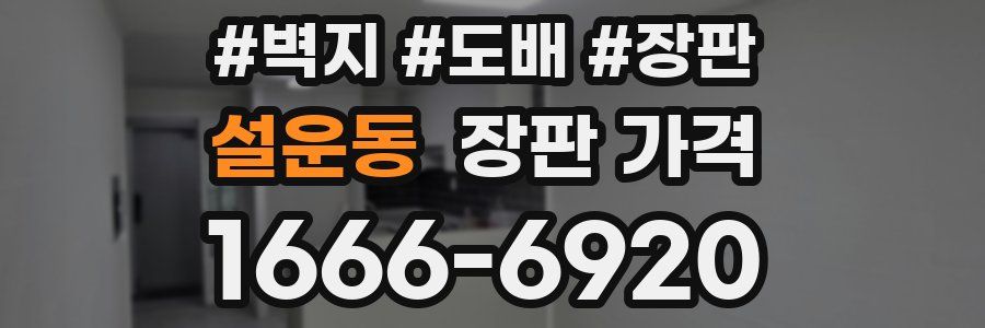 설운동 장판 가격