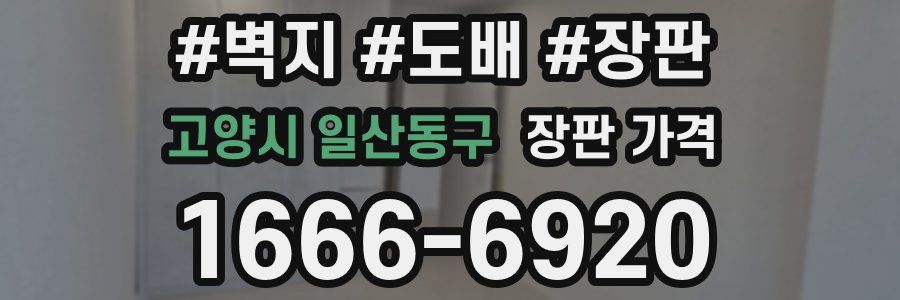 고양시 일산동구 장판 가격