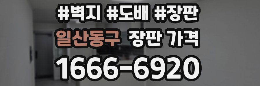 일산동구 장판 가격