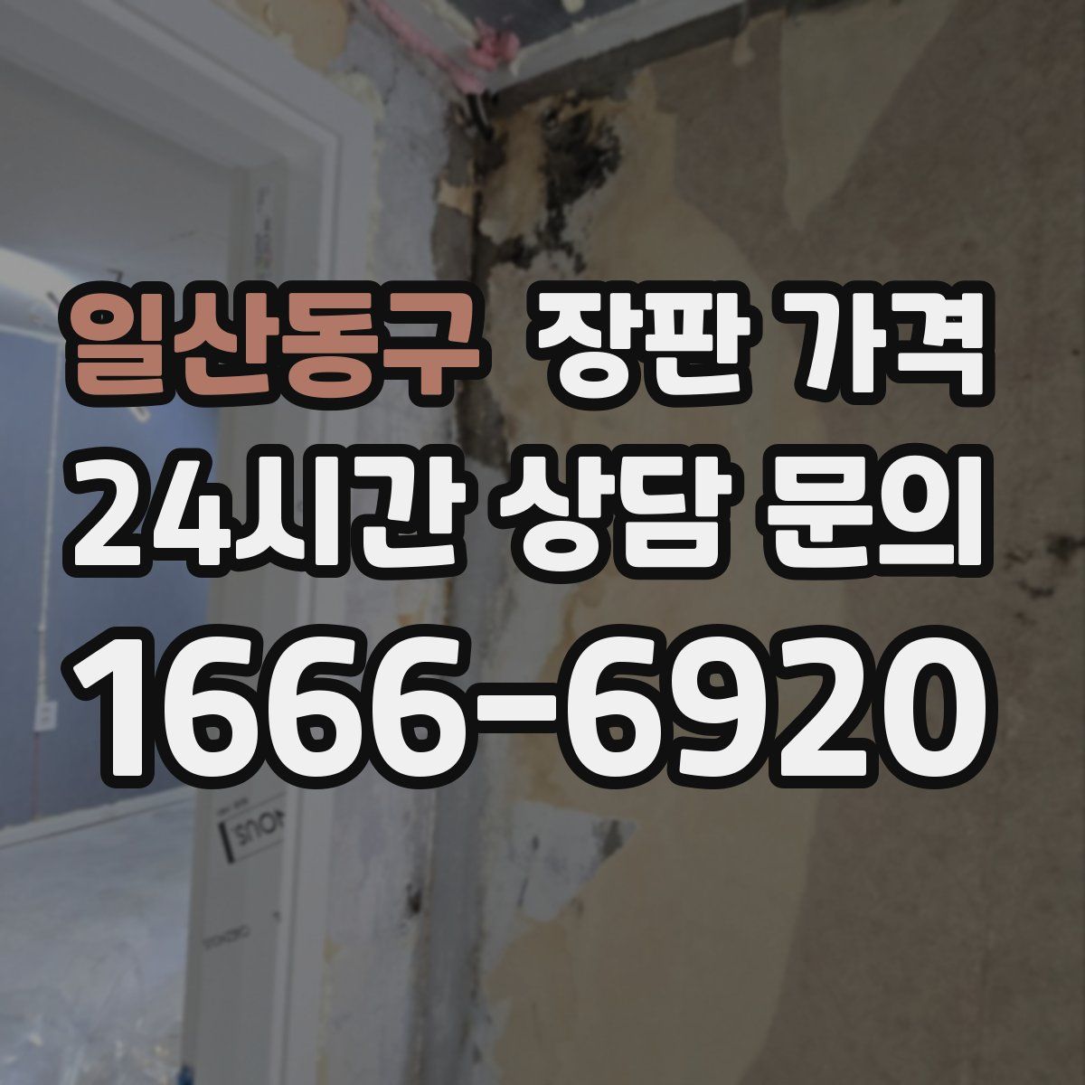 일산동구 장판 가격