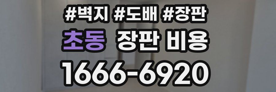 초동 장판 비용