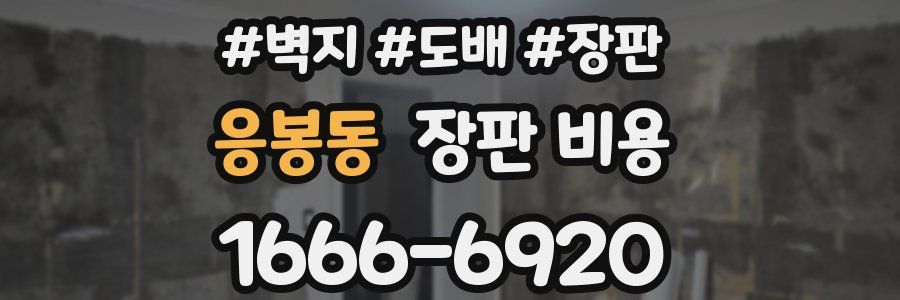 응봉동 장판 비용