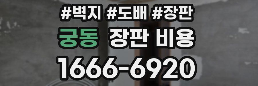 궁동 장판 비용