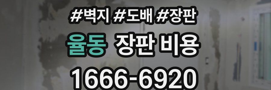 율동 장판 비용