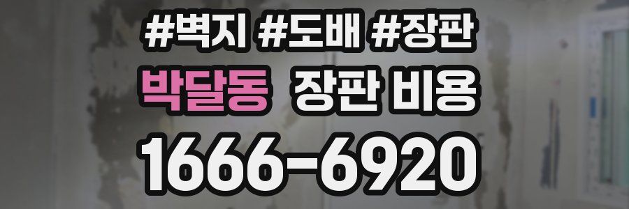 박달동 장판 비용