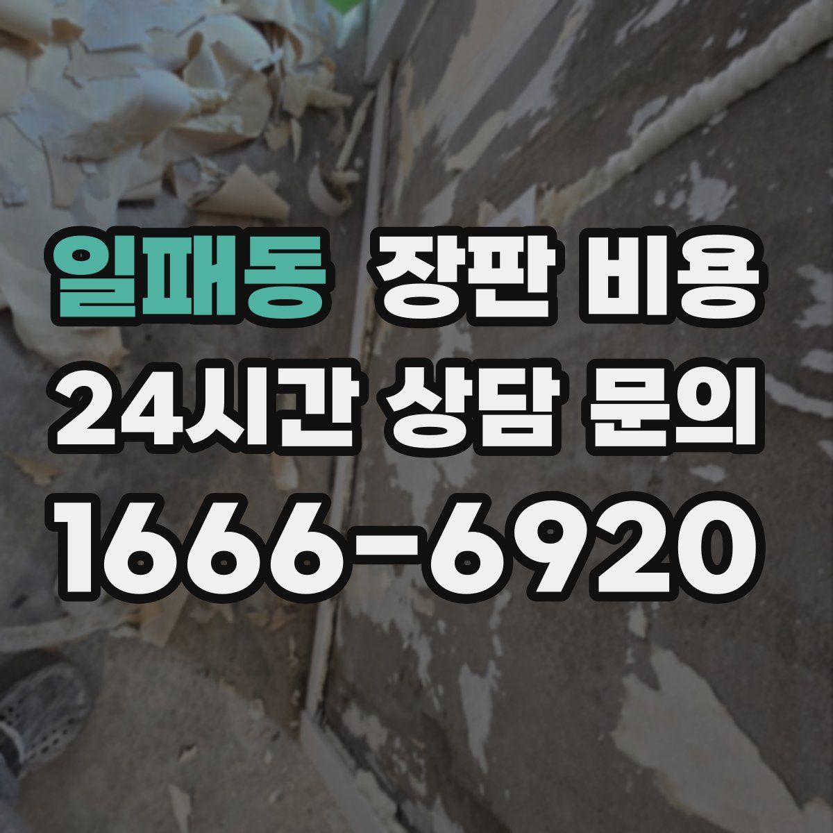 일패동 장판 비용
