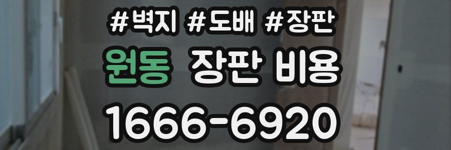 원동 장판 비용