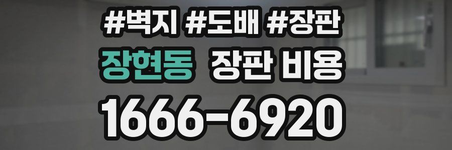 장현동 장판 비용