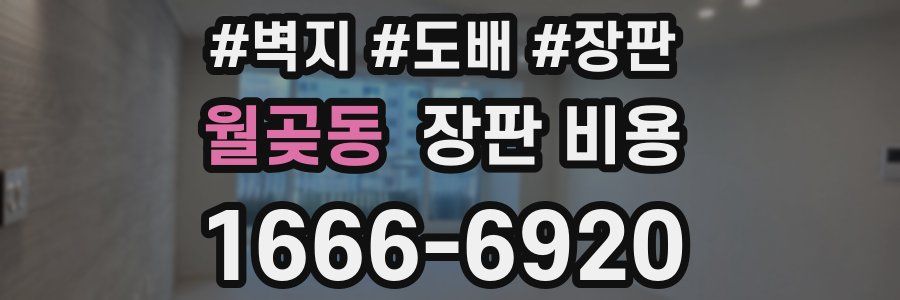 월곶동 장판 비용
