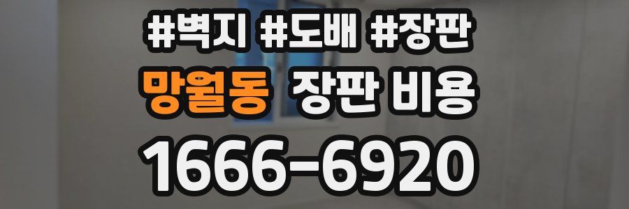 망월동 장판 비용