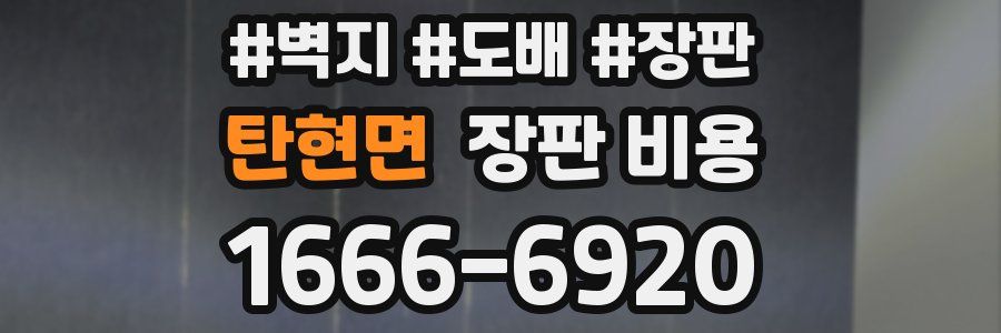 탄현면 장판 비용