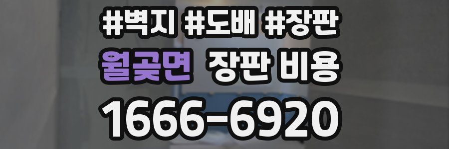 월곶면 장판 비용