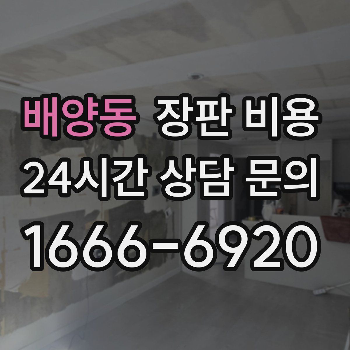 배양동 장판 비용
