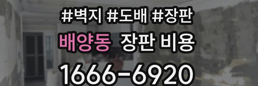배양동 장판 비용