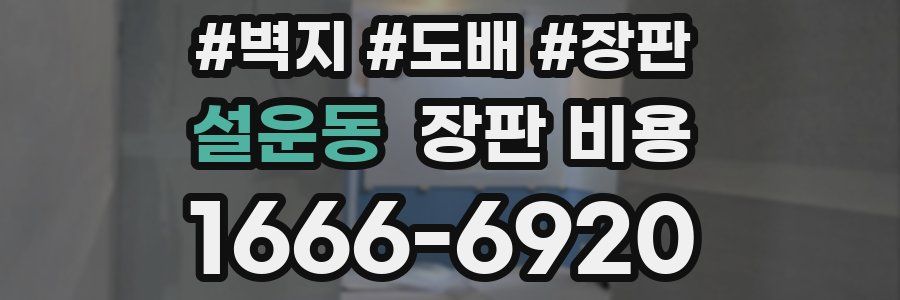 설운동 장판 비용