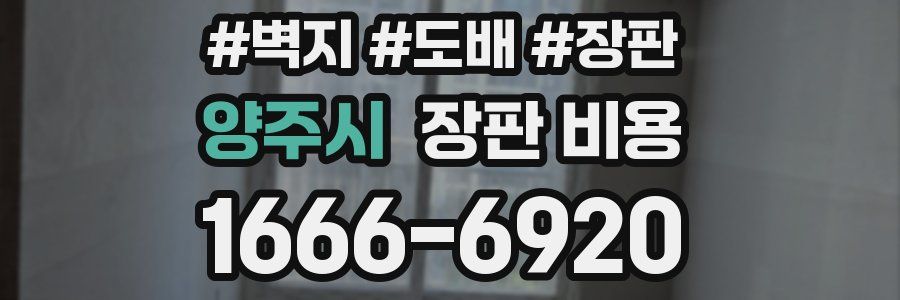 양주시 장판 비용