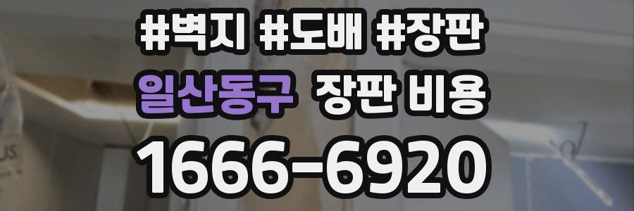 일산동구 장판 비용
