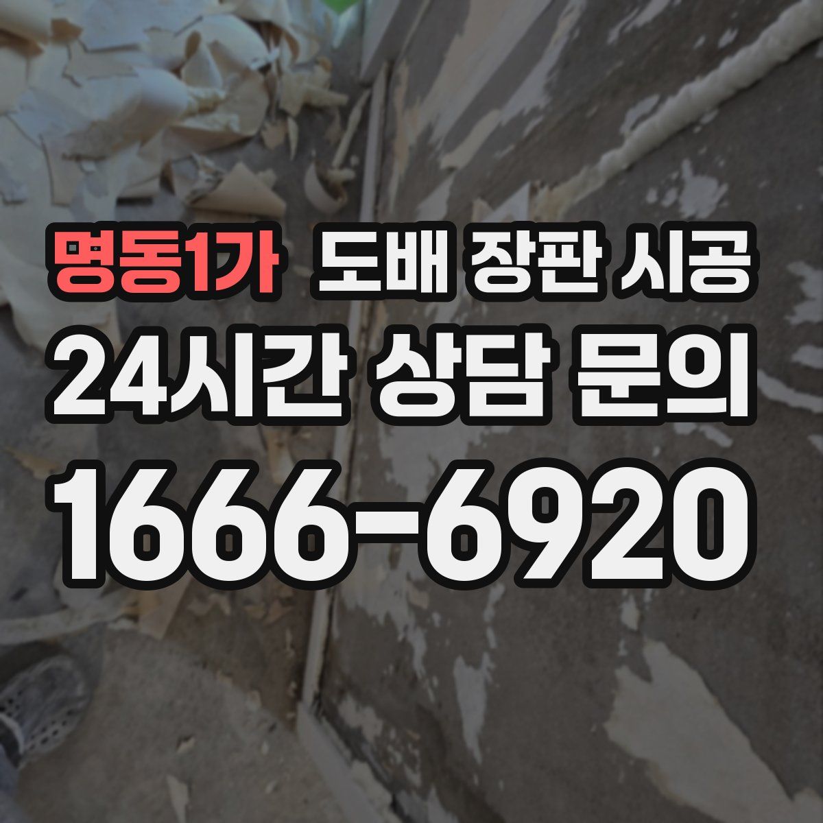 명동1가 도배 장판 시공