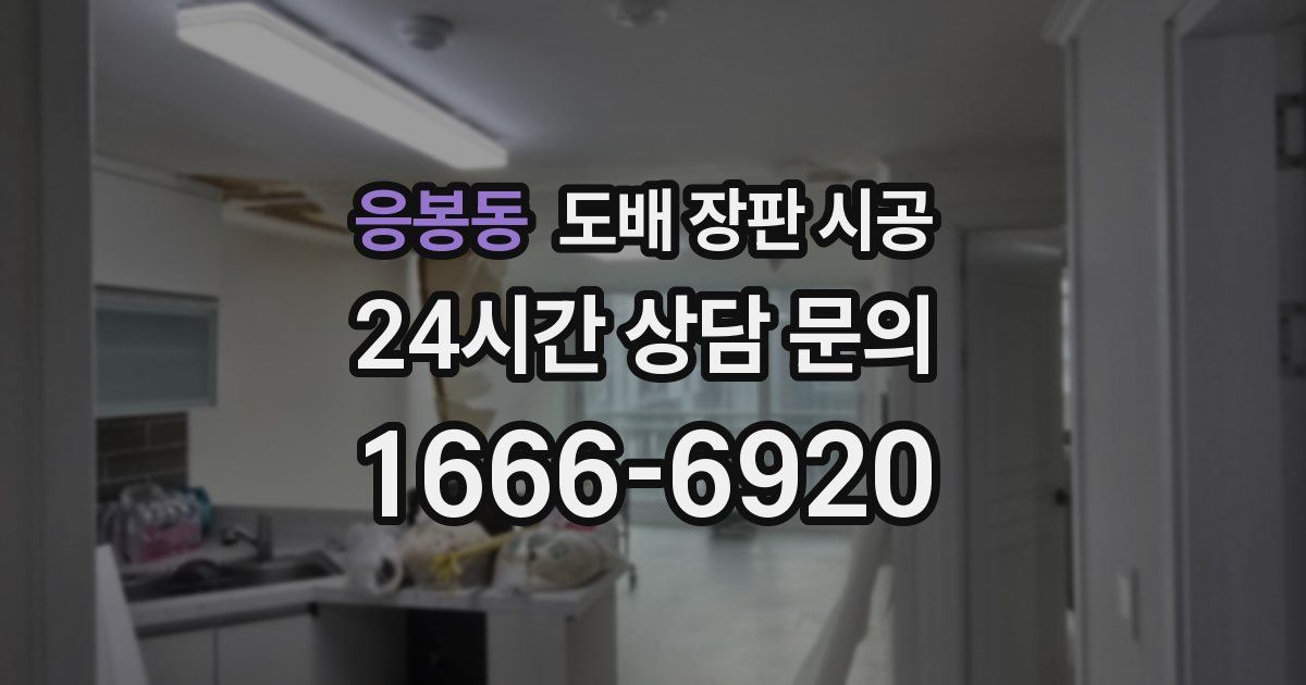 응봉동 도배 장판 시공