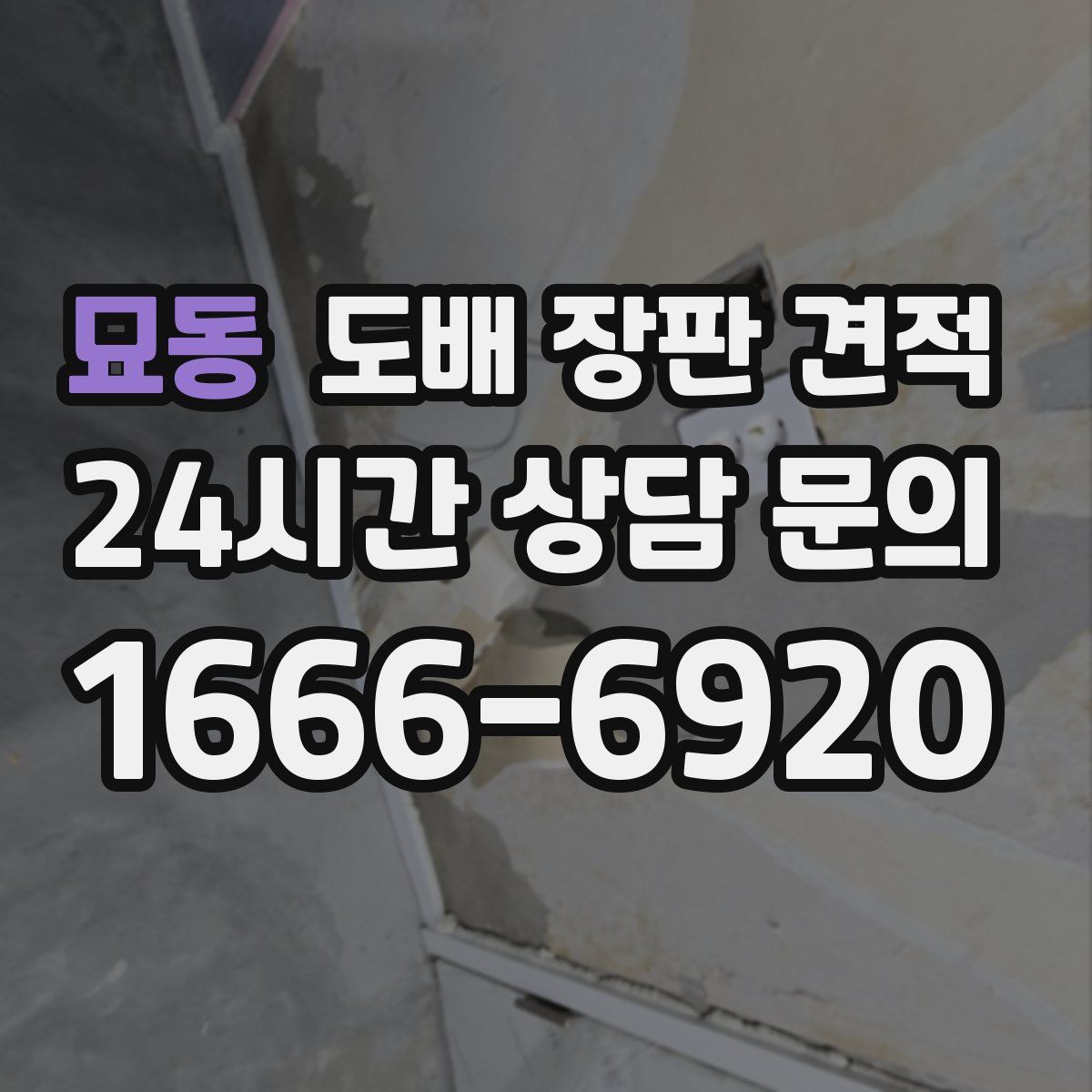 묘동 도배 장판 견적