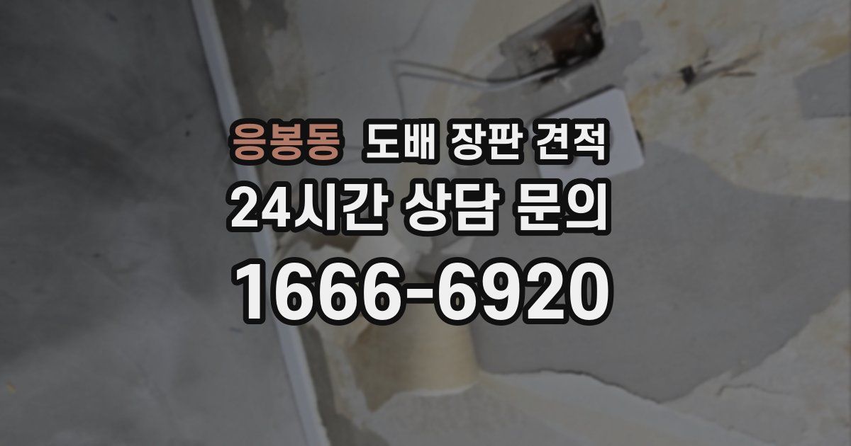 응봉동 도배 장판 견적