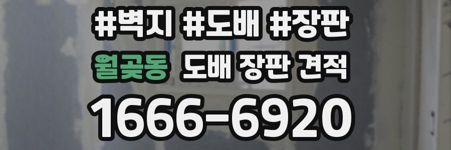 월곶동 도배 장판 견적