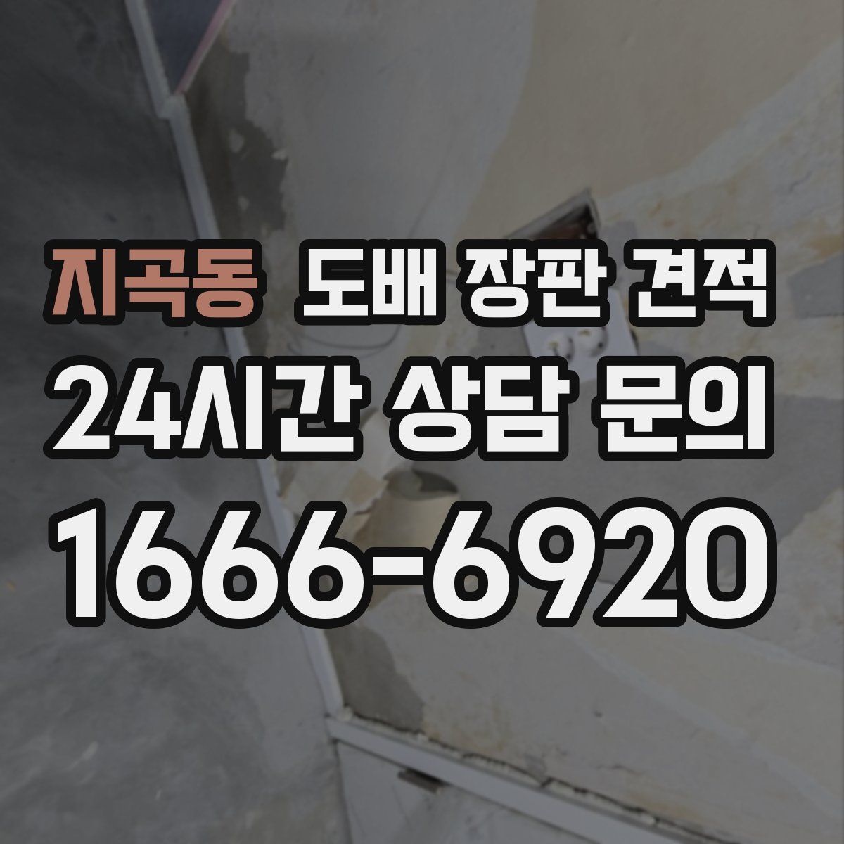 지곡동 도배 장판 견적