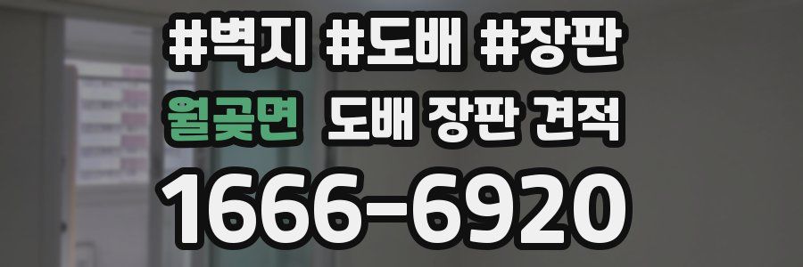 월곶면 도배 장판 견적