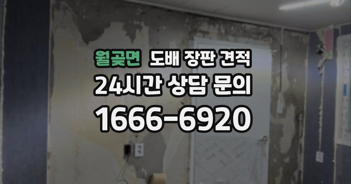 월곶면 도배 장판 견적