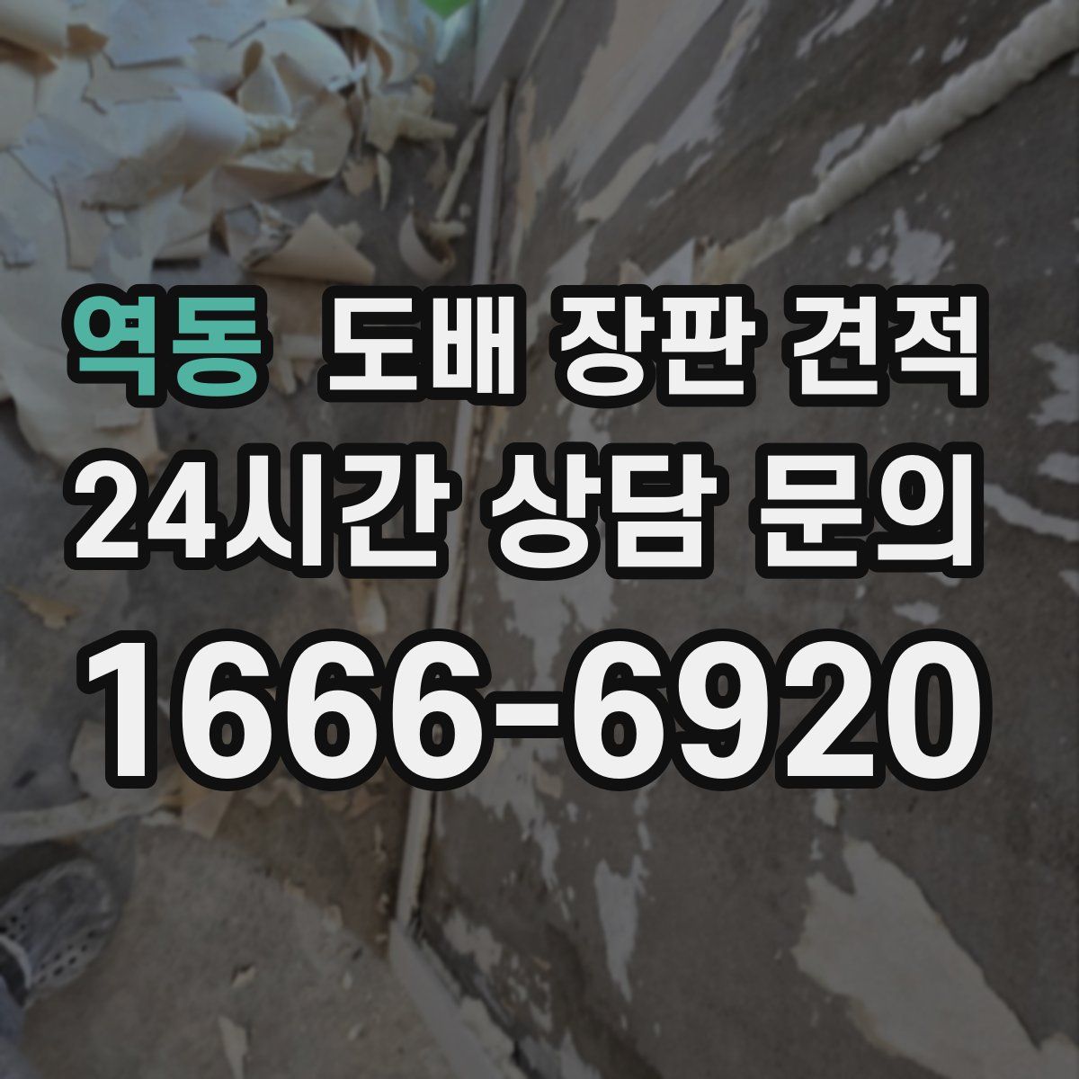 역동 도배 장판 견적