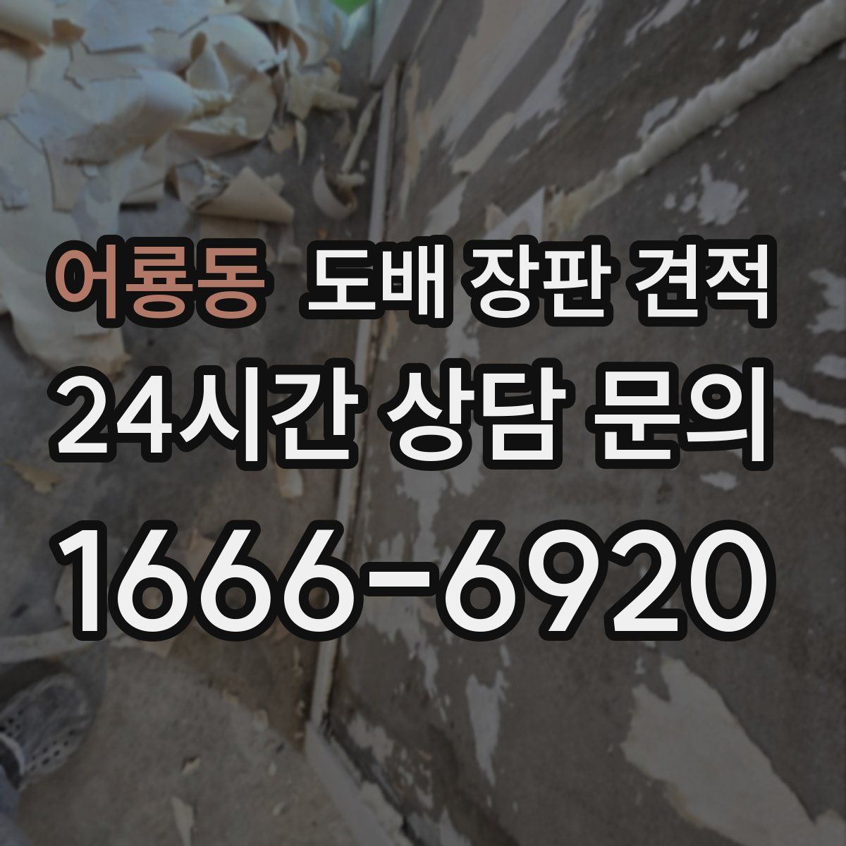 어룡동 도배 장판 견적