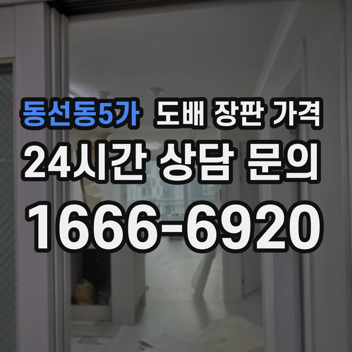 동선동5가 도배 장판 가격