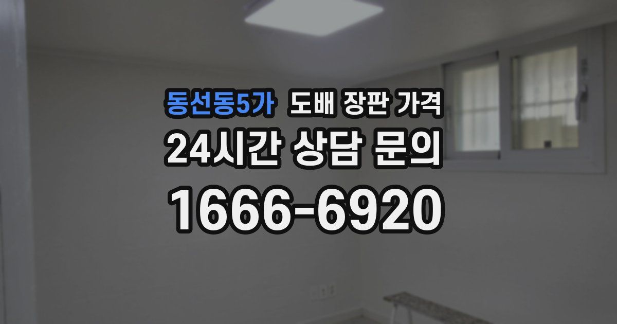 동선동5가 도배 장판 가격