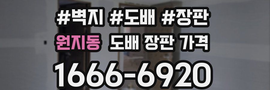 원지동 도배 장판 가격