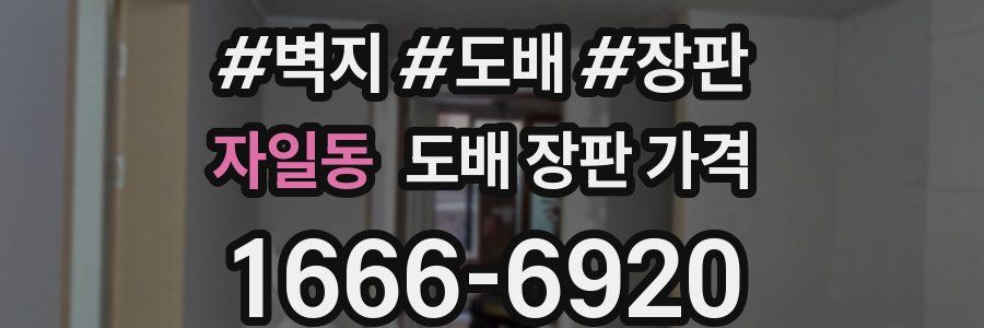 자일동 도배 장판 가격