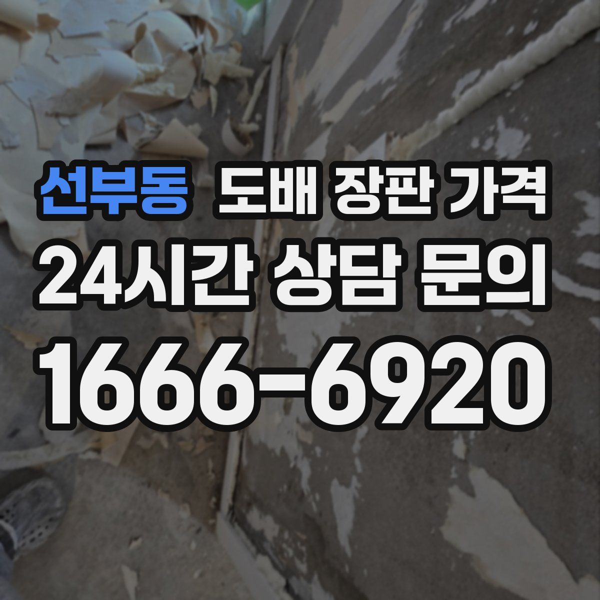 선부동 도배 장판 가격