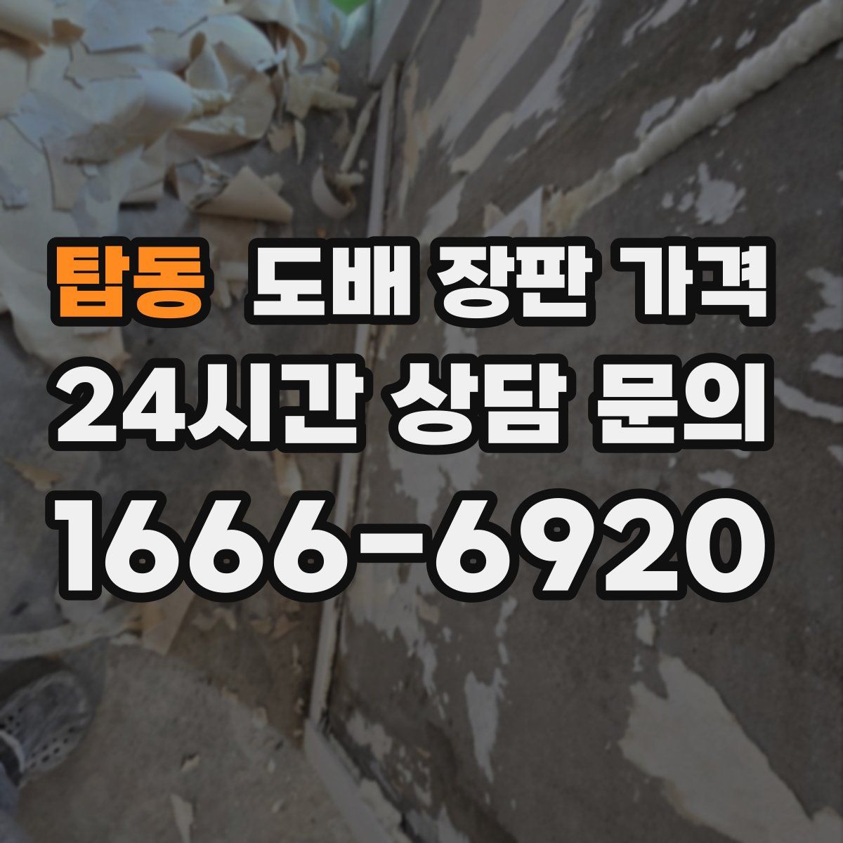 탑동 도배 장판 가격