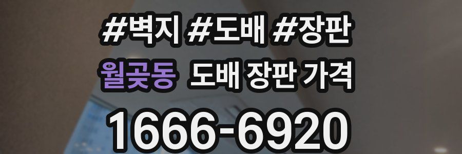 월곶동 도배 장판 가격