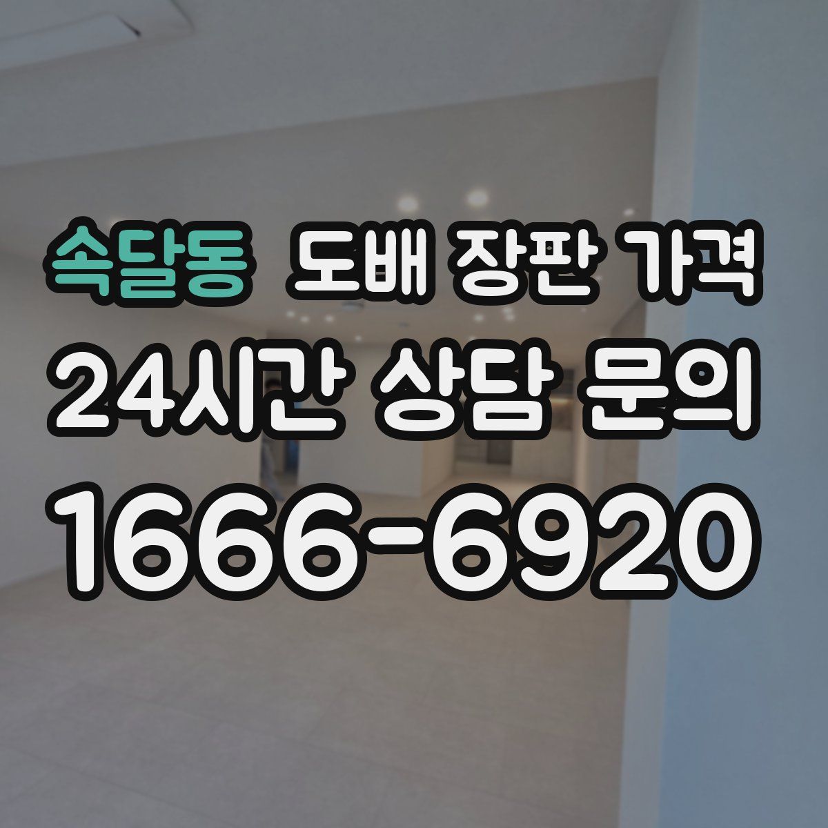 속달동 도배 장판 가격