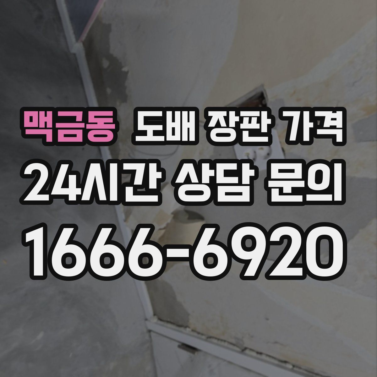 맥금동 도배 장판 가격