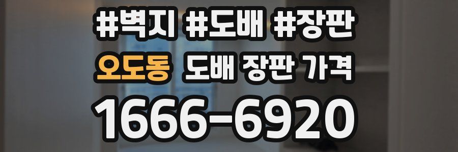 오도동 도배 장판 가격