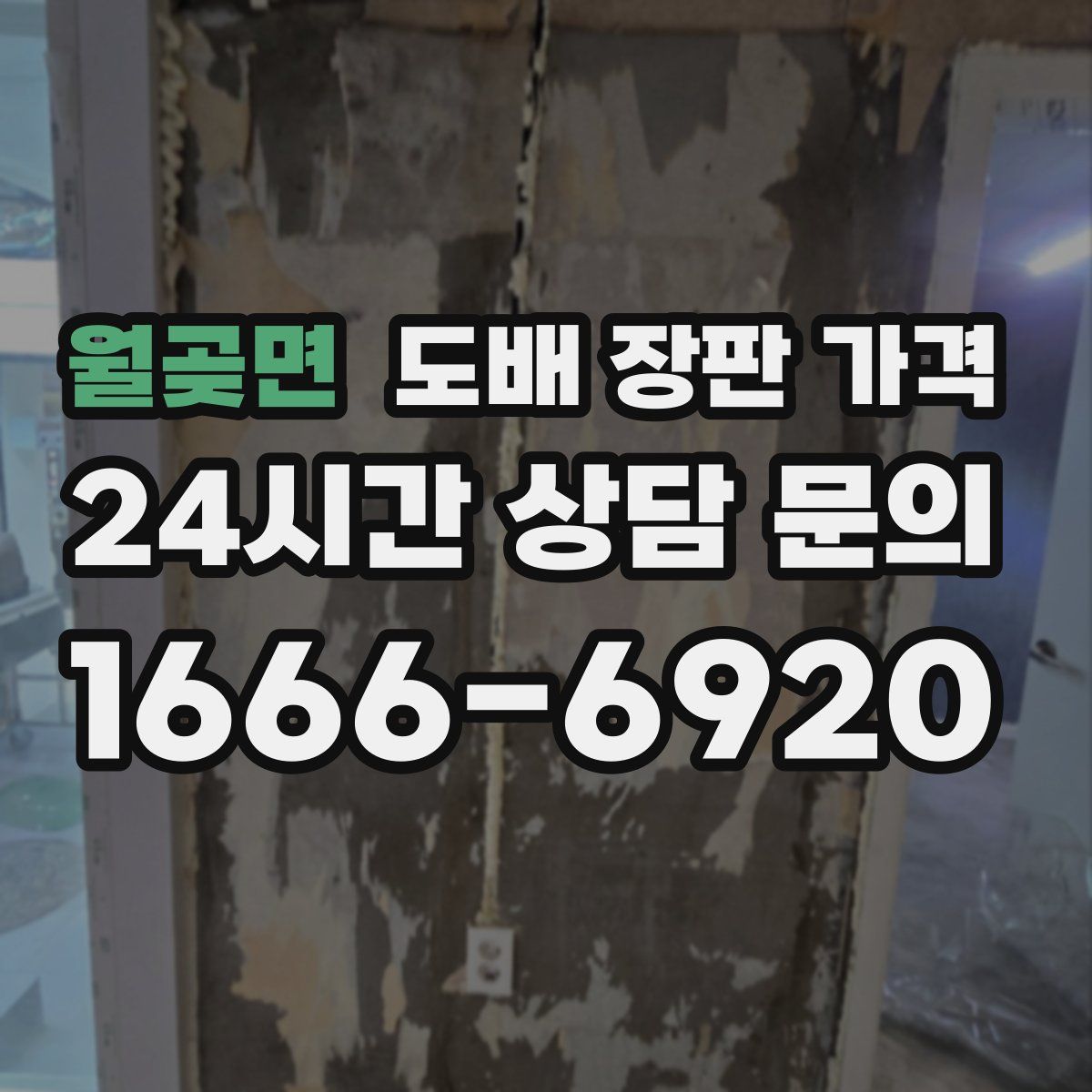 월곶면 도배 장판 가격