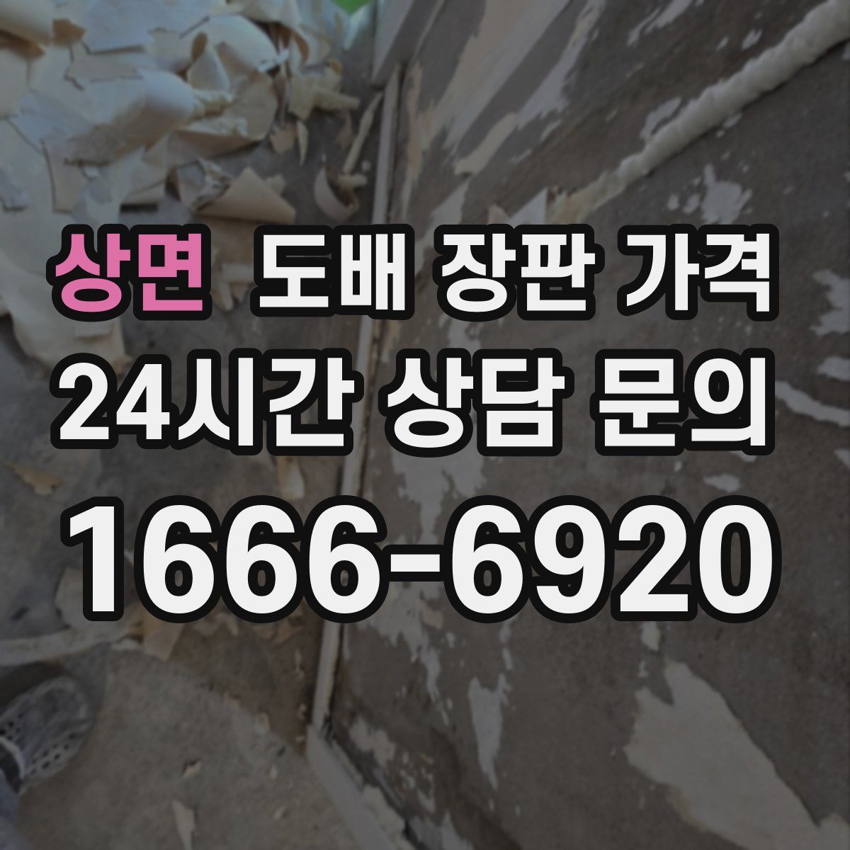 상면 도배 장판 가격