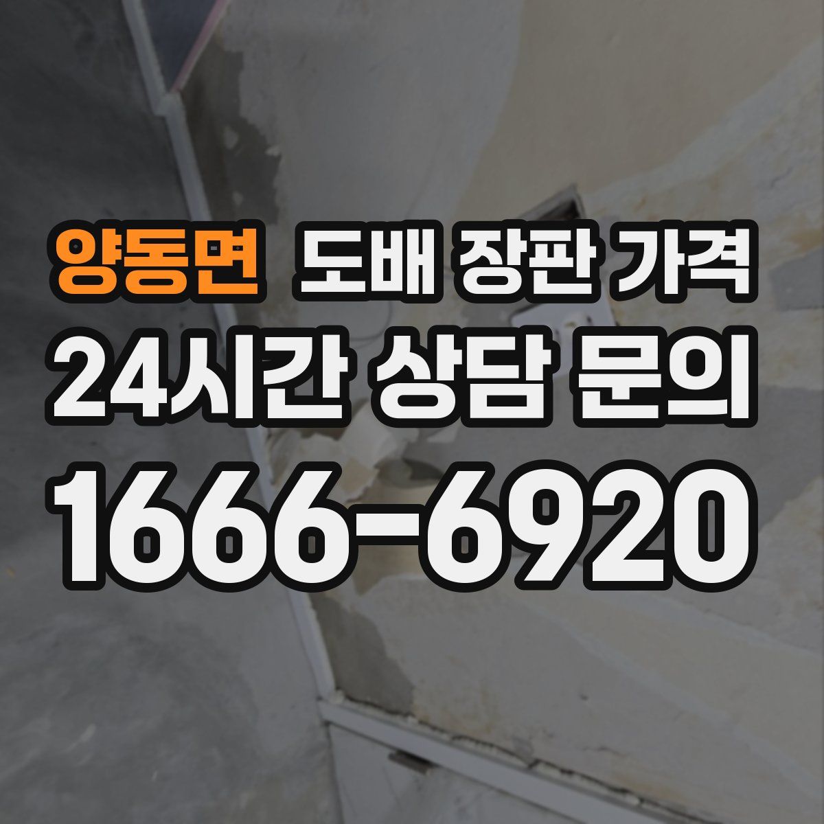 양동면 도배 장판 가격
