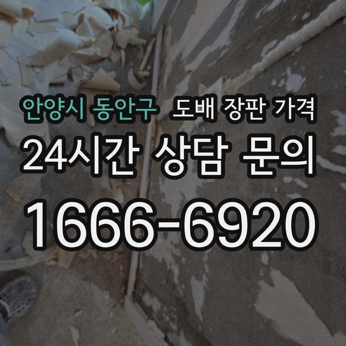 안양시 동안구 도배 장판 가격