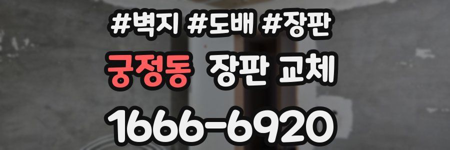 궁정동 장판 교체