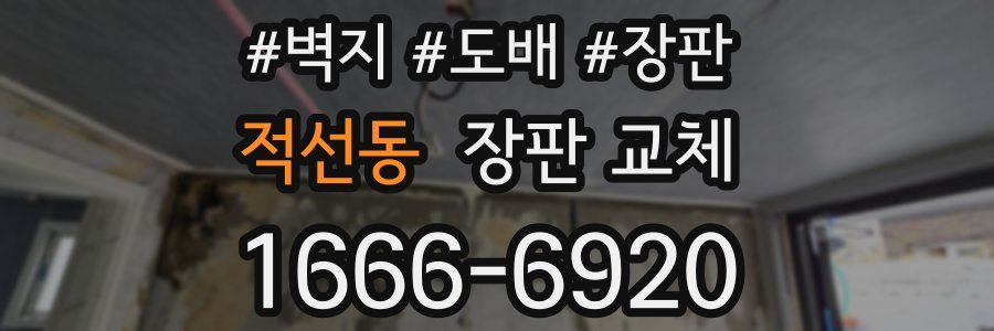 적선동 장판 교체