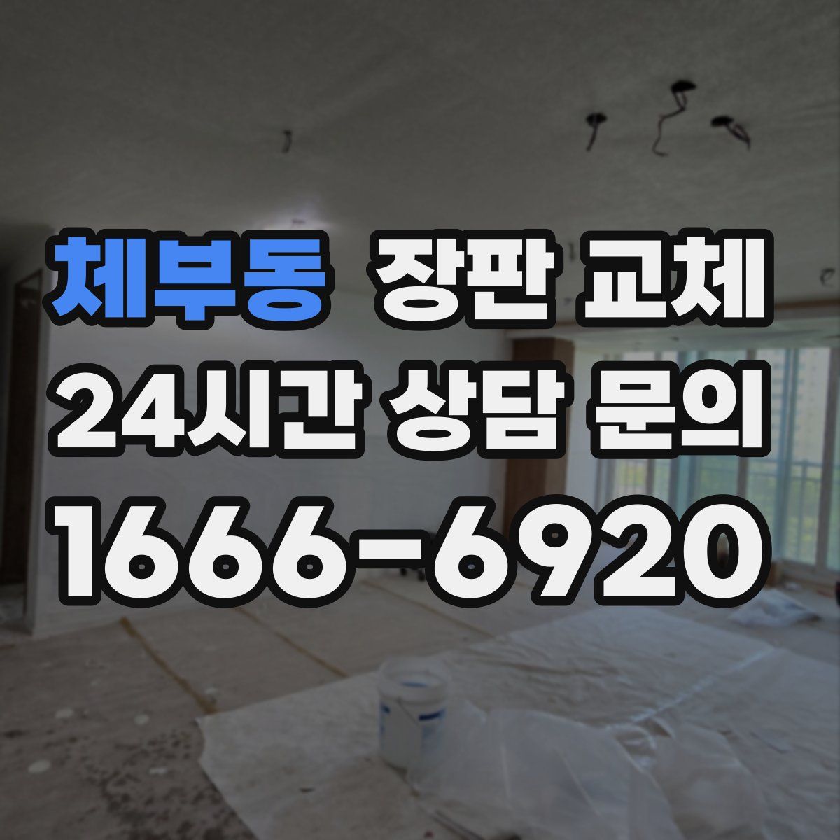 체부동 장판 교체