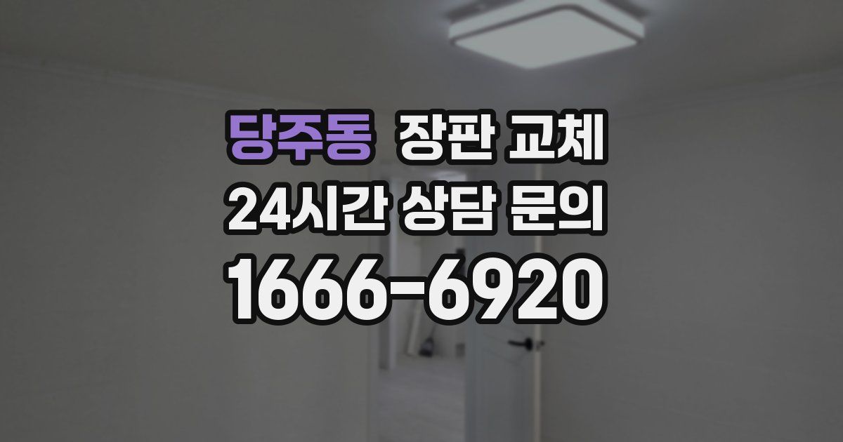 당주동 장판 교체